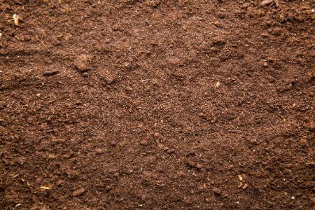 How to Use Local Topsoil and Mulch to Protect Your Landscape All Year Thumbnail