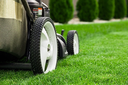 The Ideal Lawn Mowing Schedule in Wisconsin: Weekly vs. Bi-Weekly