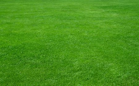 Four Steps To Installing A New Beautiful Lawn for Your Sheboygan Home