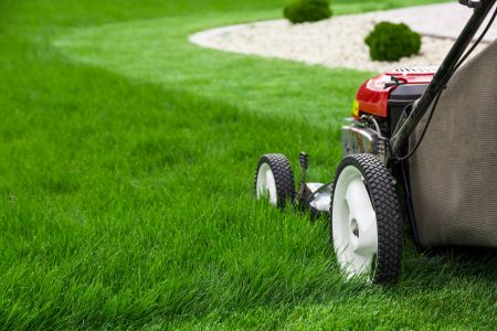 What Is the Best Lawn Mowing Height for Wisconsin Grass?