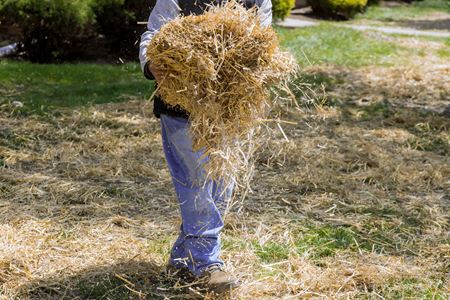 Hay Sales