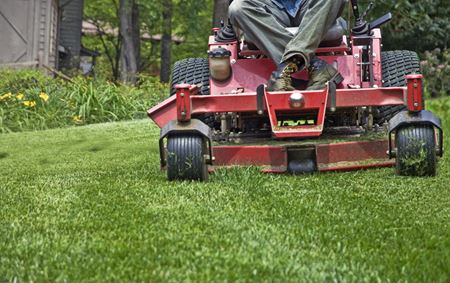 Lawn Maintenance & Mowing